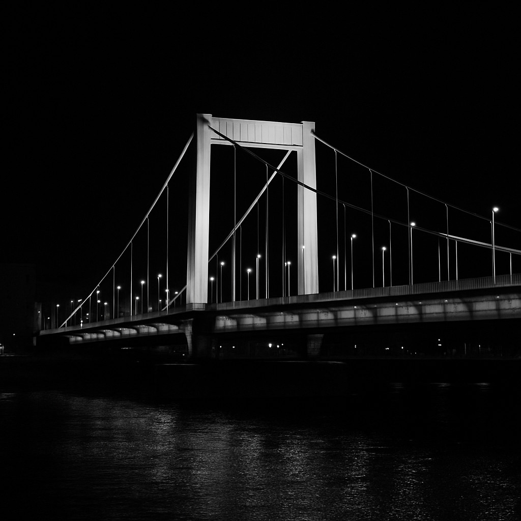 Elisabeth Bridge (Erzsébet híd) — The White Bridge of Budapest